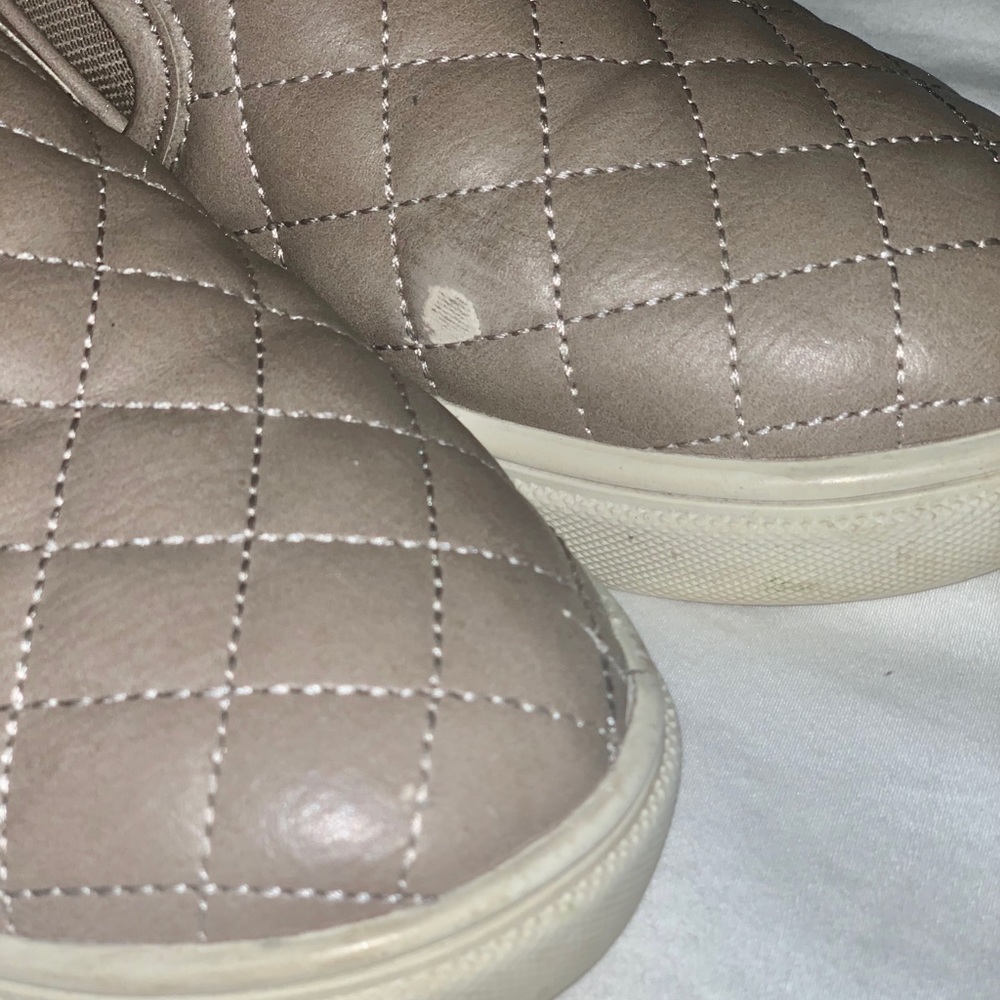 Authentic Steve Madden sneakers